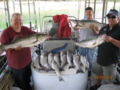Nice Striped Bass